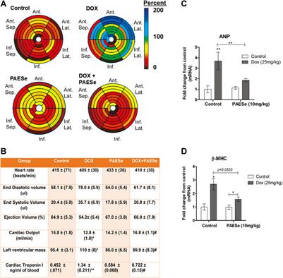 The Cardioprotective Mechanism of Phenylaminoethyl Selenides (PAESe) Against Doxorubicin-Induced Cardiotoxicity Involves Frataxin